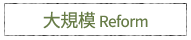 大規模 Reform
